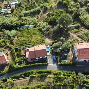 In Vino Veritas Arcola